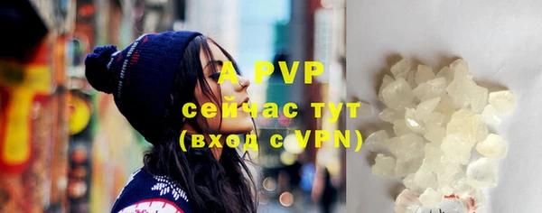 тгк Гусев