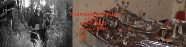 тгк Гусев