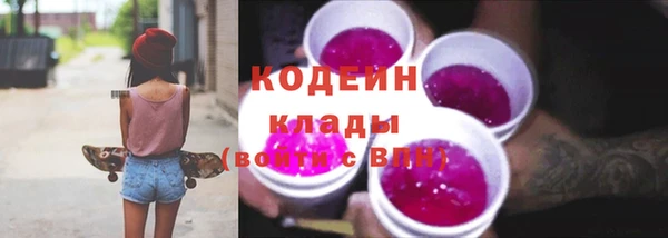 тгк Гусев