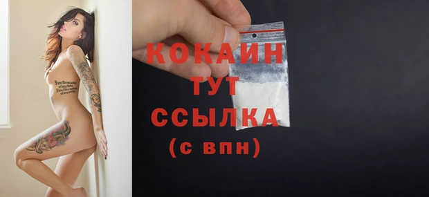 тгк Гусев