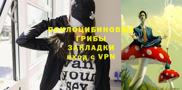 тгк Гусь-Хрустальный